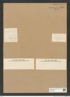 Diatomeae indet. Zeichnungen Sammlung Grunow Nr. 8380 (NHMW-BOT-W0377803)